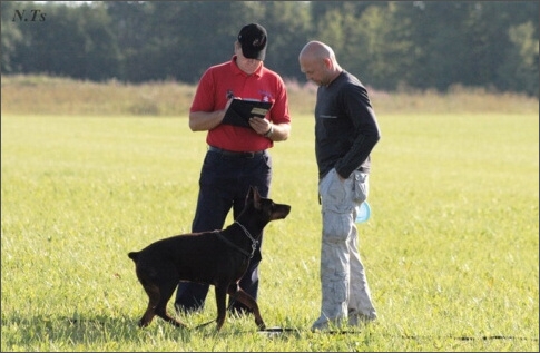 Sasha - Estonia championship 2007  in IPO 3